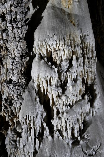 Cueva Coventosa (Cantabrie, Espagne) - Détail d'un pilier concrétionné (SP-26-1135)